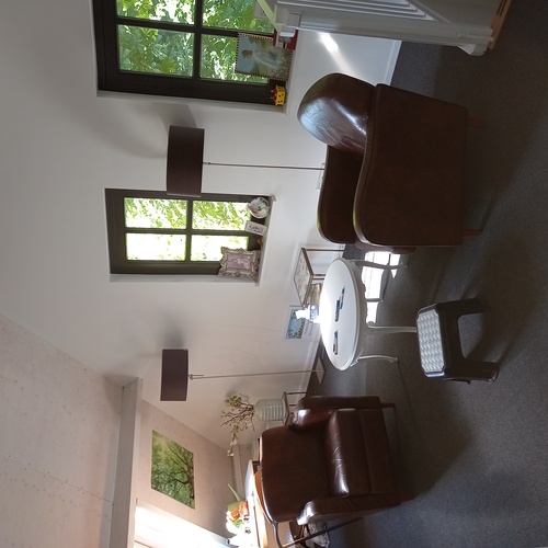 Psychosociaal therapeut, systeemtherapeut in Buren