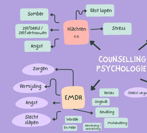 Counsellor Psycholoog in Dronten