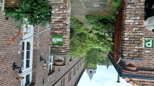 ACT- en wandeltherapeut in Venlo