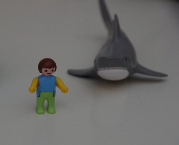 Psychosociaal therapeut, gespecialiseerd in angst/​trauma in Oss