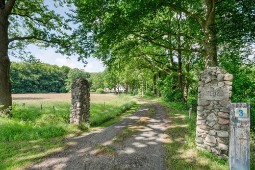 Hypnotherapeut in Emmen Hypnotherapeut in Emmen