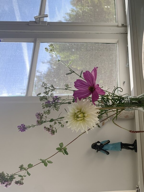 therapeut en relatietherapeut - polyvagaal theorie - ACT - gecertificeerd SSP provider in Driebergen