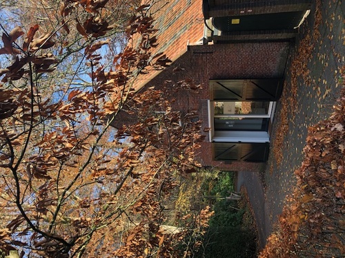 Somatic Experiencing® Practitioner in 's-Graveland Somatic Experiencing® Practitioner in 's-Graveland