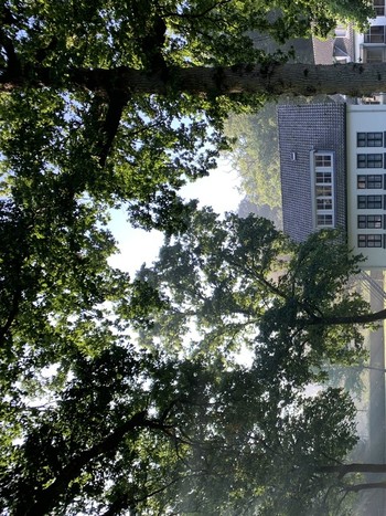 therapeut en relatietherapeut - polyvagaal theorie - ACT - gecertificeerd SSP provider in Driebergen