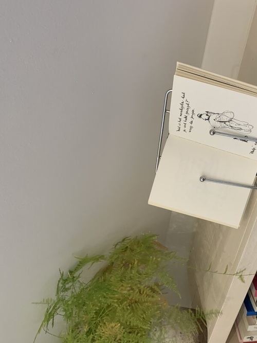 therapeut en relatietherapeut - polyvagaal theorie - ACT - gecertificeerd SSP provider in Driebergen