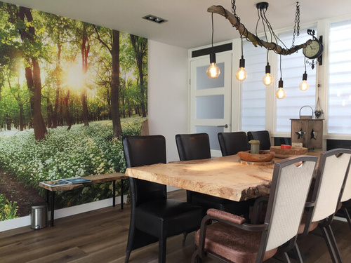 Counselor, hypnotherapeut, leertherapeut en leefstijlcoach in Rhenen