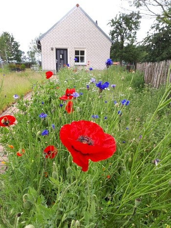 Lichaamsgerichte psychotherapie in Vortum Mullem